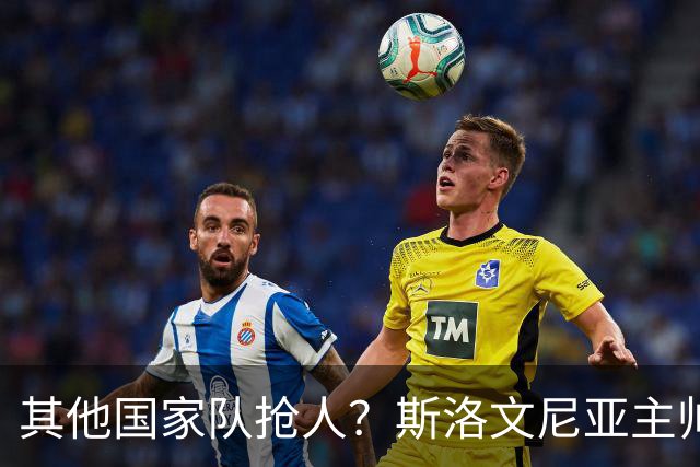 其他国家队抢人？斯洛文尼亚主帅：会在合适的时候召入托帕洛维奇
